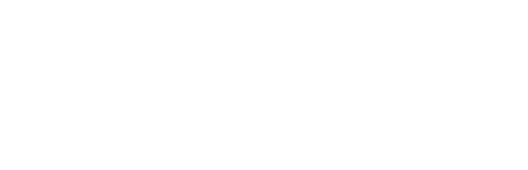 x-data copia